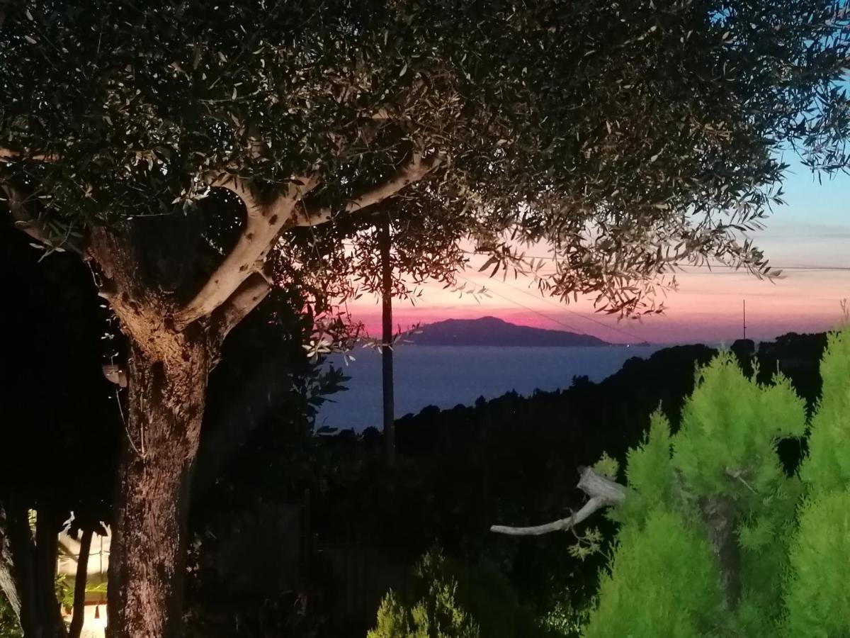 La Casa Di Pitti Hotel Anacapri  Luaran gambar